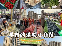 -南竺园市场
