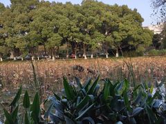 -Beans Solo豆号咖啡(百家湖花园店)