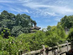 -涂山寺素食餐厅