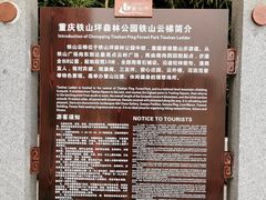 -铁山坪森林公园