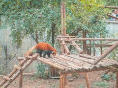 -昆明动物园
