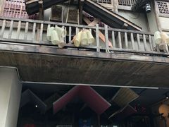 门面-哥老官重庆美蛙鱼头(西湖银泰十一哥店)