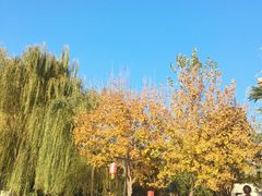 -西安汉城湖景区