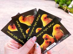 -清迈夜间动物园