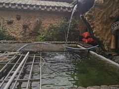 -园林美食城·本土农家菜(杨和镇店)