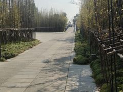 -养云安缦·廊