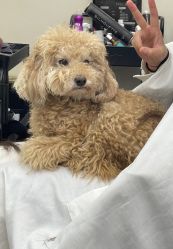 -Hair Co.一间沙龙