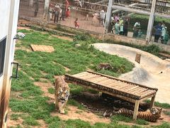 -昆明动物园