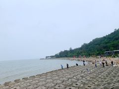-野狸岛