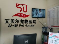 -艾贝尔宠物医院 ·内科全科(梁溪路店)