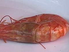 -坛南湾农家乐·海鲜楼·大排档(平潭坛南湾店)