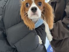 -宠颐生猫科·内科皮肤科(西平世纪城店)