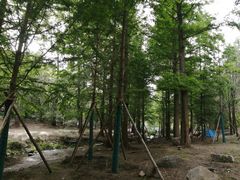 -白水寺森林公园