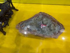 -游龙石文化科普馆