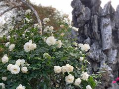 -人民公园(罗湖区)