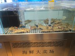 -喜来酌海鲜·饺子(和平一店)