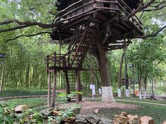 -乌村