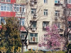 -呼家楼(地铁站)