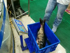 -雪野鱼头大王邢府公老店(雪野湖店)