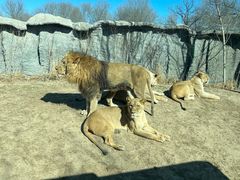 -北京野生动物园