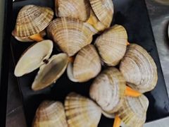 -提老炮儿烧烤(南山店)