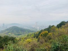 -峙山公园