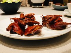 脆皮妙龄鸽-新荣记(新源南路店)