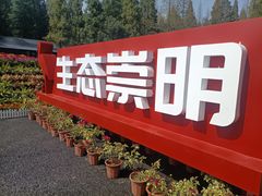 -东平国家森林公园