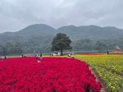 -广州市石门国家森林公园