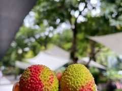-T館·花园艺术餐厅