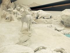 -中国湿地博物馆