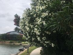 -上海滴水湖皇冠假日酒店