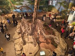 -自贡恐龙博物馆