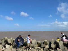 -南汇嘴观海公园