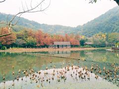 -八卦田遗址公园