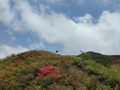 -大围山国家森林公园
