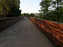 -昆山城市生态森林公园