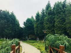 -贵阳市花溪国家城市湿地公园