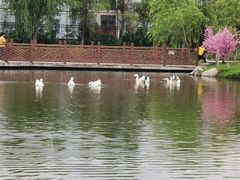 -木兰水镇旅游景区