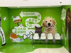 -凯德MALL(望京店)