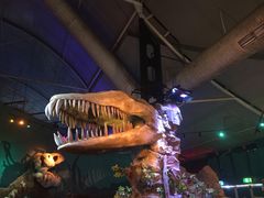 -悉尼海洋生物水族馆