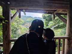 -杨家堂村