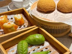 -光明小镇欢乐田园