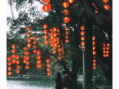 -荔湾湖公园