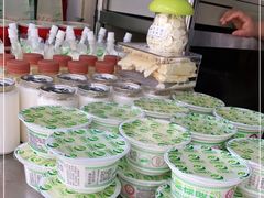 -德禄酸奶(莫家街店)