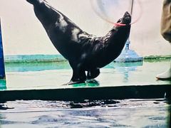 -嘉兴海底世界