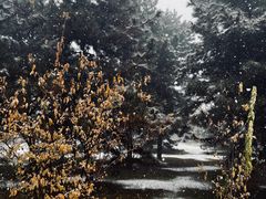 -秦始皇帝陵博物院-丽山园