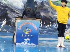 -多彩贵州城极地海洋世界