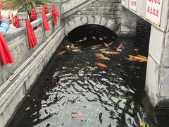 -长春观