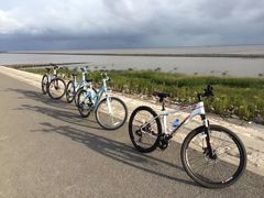 -上海崇明金茂凯悦酒店